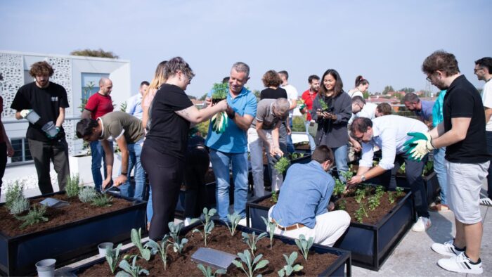 Team building al voltant de l’hort: cultivant col·laboració i benestar